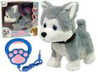 Lean Toys Husky interaktiivinen pehmolelukoira, Nuket ja pehmolelut