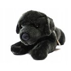 Pehmo musta labradorinkoira, 40 cm