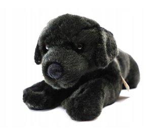 Pehmo musta labradorinkoira, 40 cm
