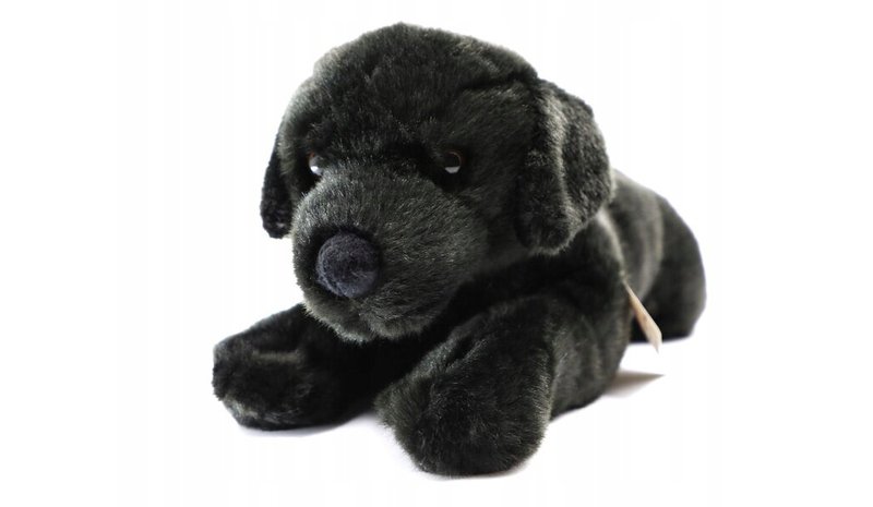 Pehmo musta labradorinkoira, 40 cm