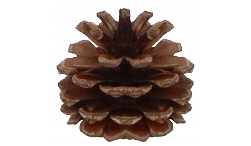 CA0154 JOULUPALLIT 102 KPL.