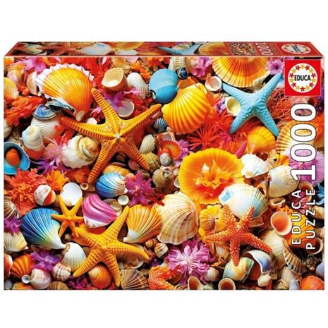 Educa 1000 Shell Collage