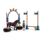 Schleich Poniagilitykisat