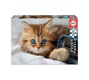 Educa 200 Kitten