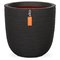 Kulblomkruka - CAPI EUROPE - RIB NL - 43 x 41 cm - Svart – kuva 1