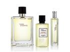 Nippu Hermes Terre D'Hermes EDT 100ml + EDT 5ml + SG 40ml