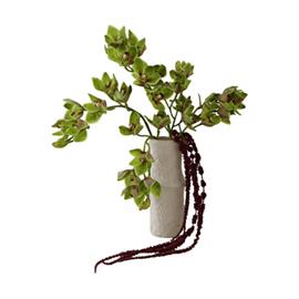 Botanä© Velvet Vine tekokimppu Orkidea-amarantti 6 kpl