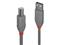 Lindy Anthra Line - USB cable - USB to USB Type B - 5 m – kuva 6