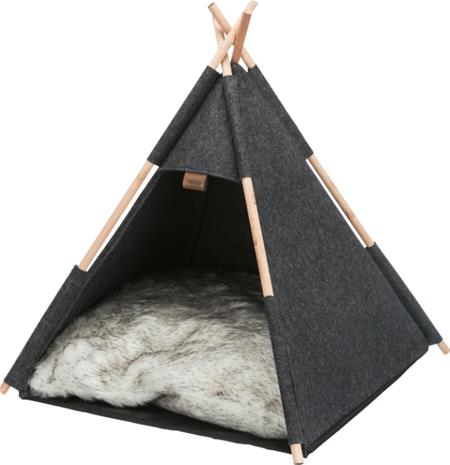 Igloo Tipi