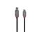 Lindy Anthra Line - USB-C cable - 24 pin USB-C to USB Type B - 2 m – kuva 3