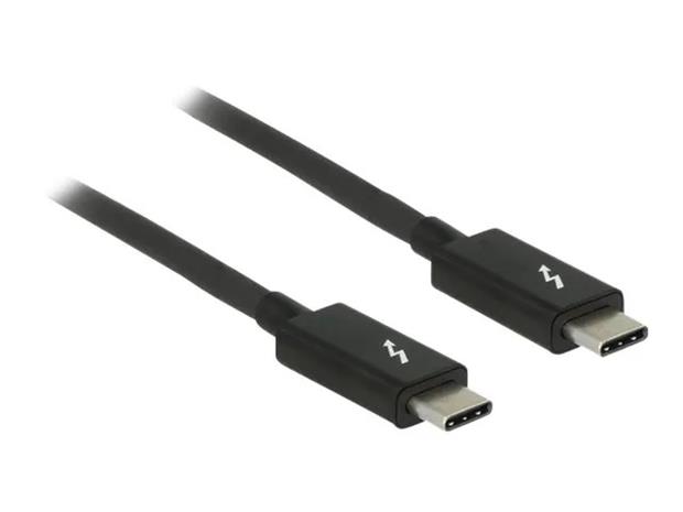 DeLOCK - Thunderbolt cable - 24 pin USB-C to 24 pin USB-C - 2 m