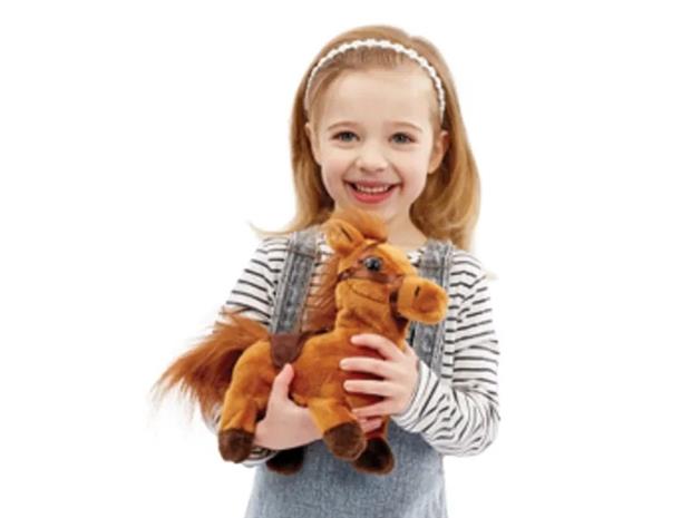 Happy Pets Walk Along Pony