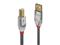 Lindy CROMO - USB cable - USB to USB Type B - 5 m – kuva 2