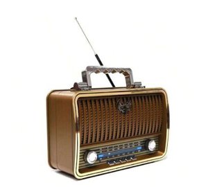 RS-01