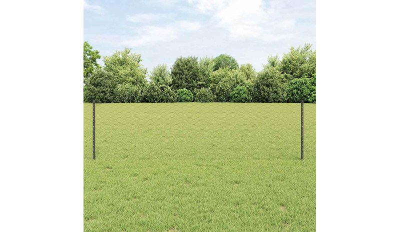 vidaXL Hitsattu lankaa 100 x 0,6 m (L x K) PVC-pinnoitettu teräs