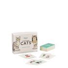 Ridley's Games Costume Cats Memory Game - Multi/patterned - ONE SIZE