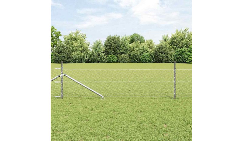 vidaXL Langoitettu este piikeillä 25 x 0,8 m (L x K)