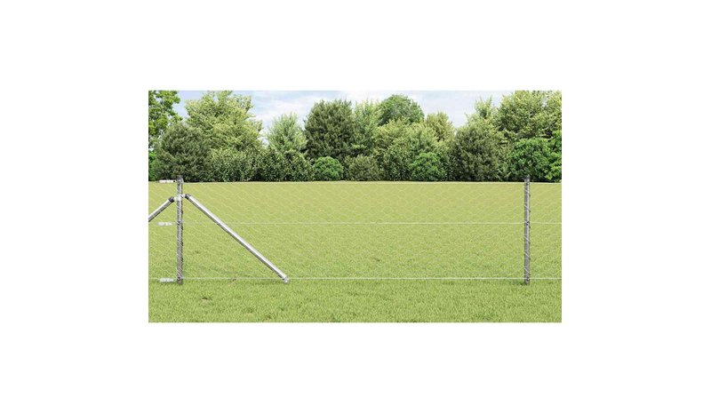vidaXL Langoitettu este piikeillä 25 x 0,6 m (L x K)