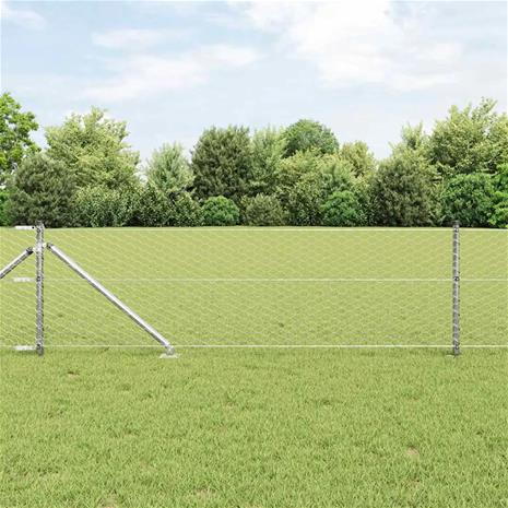 vidaXL Langoitettu este piikeillä 100 x 0,6 m (L x K)