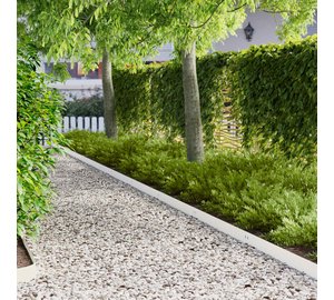 vidaXL Nurmireunus 30 pcs 100 x 12 cm Teräs valkoinen