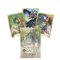Stone Circle Oracle Tarot -kortit – kuva 1