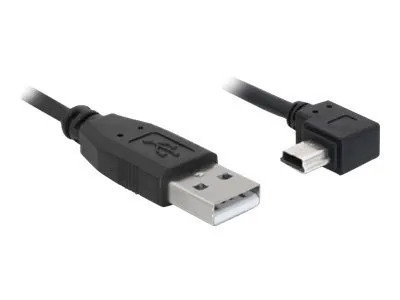 Delock - Kaapeli USB A (M) -> Mini USB BM5P (M) 2m