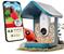 BirdBuddy - Smart Bird Feeder 2.0 Blue with Solar Panel – kuva 4