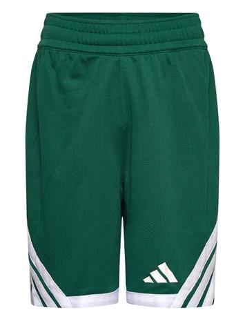 adidas Performance Y Evryday Pro S - Green - 164