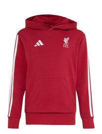 adidas Performance Lfc Kids Hd - Red - 176