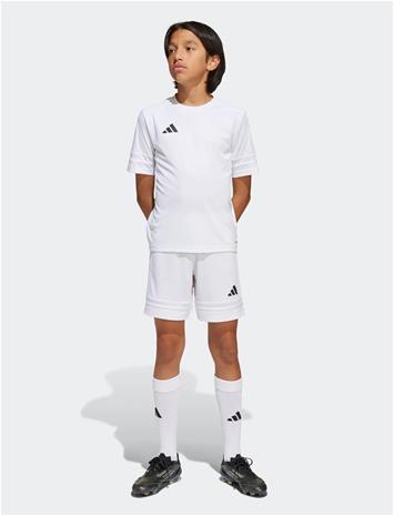 adidas Performance Squa25 Sho Y - White - 176 – kuva 1/4