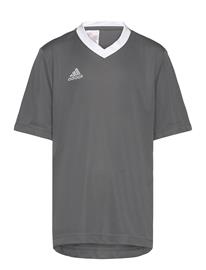 adidas Performance Ent22 Jsy Y - Grey - 164