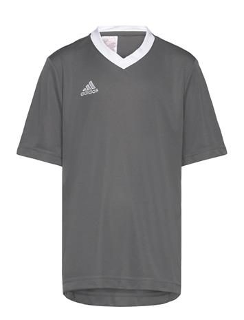 adidas Performance Ent22 Jsy Y - Grey - 164