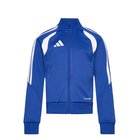 adidas Performance Tiro26L Tr Jkty - Blue - 176