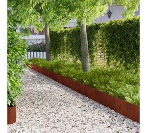 vidaXL Nurmireunus 20 pcs 100 x 18 cm Teräs Ruosteinen