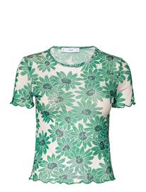 Mango Marga - Green - 26