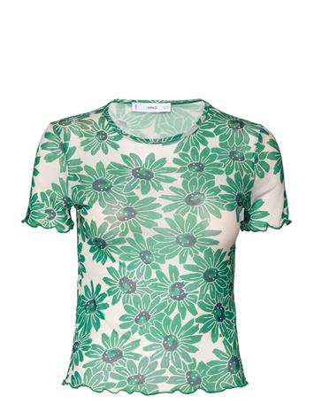 Mango Marga - Green - 26