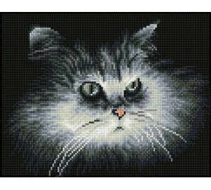 Diamond Dotz Shadow Cat 25x32cm timanttityö