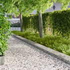 vidaXL Nurmireunus 30 pcs 100 x 18 cm Teräs Hopea