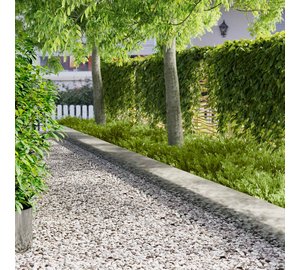 vidaXL Nurmireunus 10 pcs 100 x 22 cm Teräs Hopea