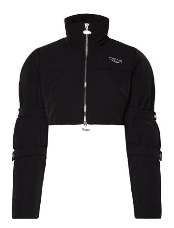 Cannari Concept Cropped Puffer Jacket - Black - 42