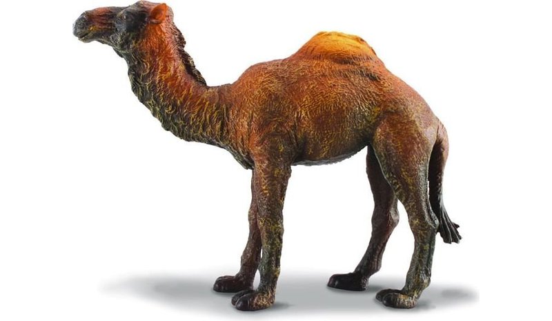 Collecta yksi kamelihahmo