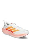 adidas Performance Supernova Glide M - White - 48