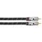 AVINITY 2m 2xRCA audio cable – kuva 2