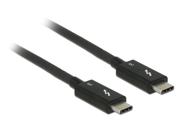 DeLOCK - Thunderbolt cable - 24 pin USB-C to 24 pin USB-C - 2 m