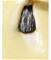 thumb94700608