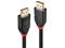 Lindy DisplayPort 1.2 Cable - 20m – kuva 3