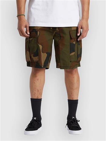 DC Tundra Cargo Shortsit abstract camo Miehet