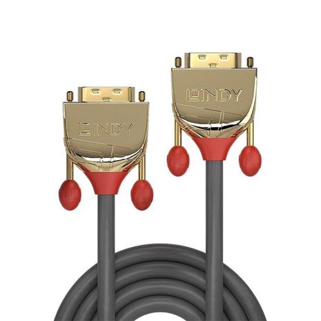 Lindy Gold - DVI cable - DVI-D to DVI-D - 2 m
