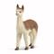 Schleich Alpaca – kuva 3