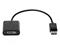 HP DisplayPort to DVI Adapter – kuva 4